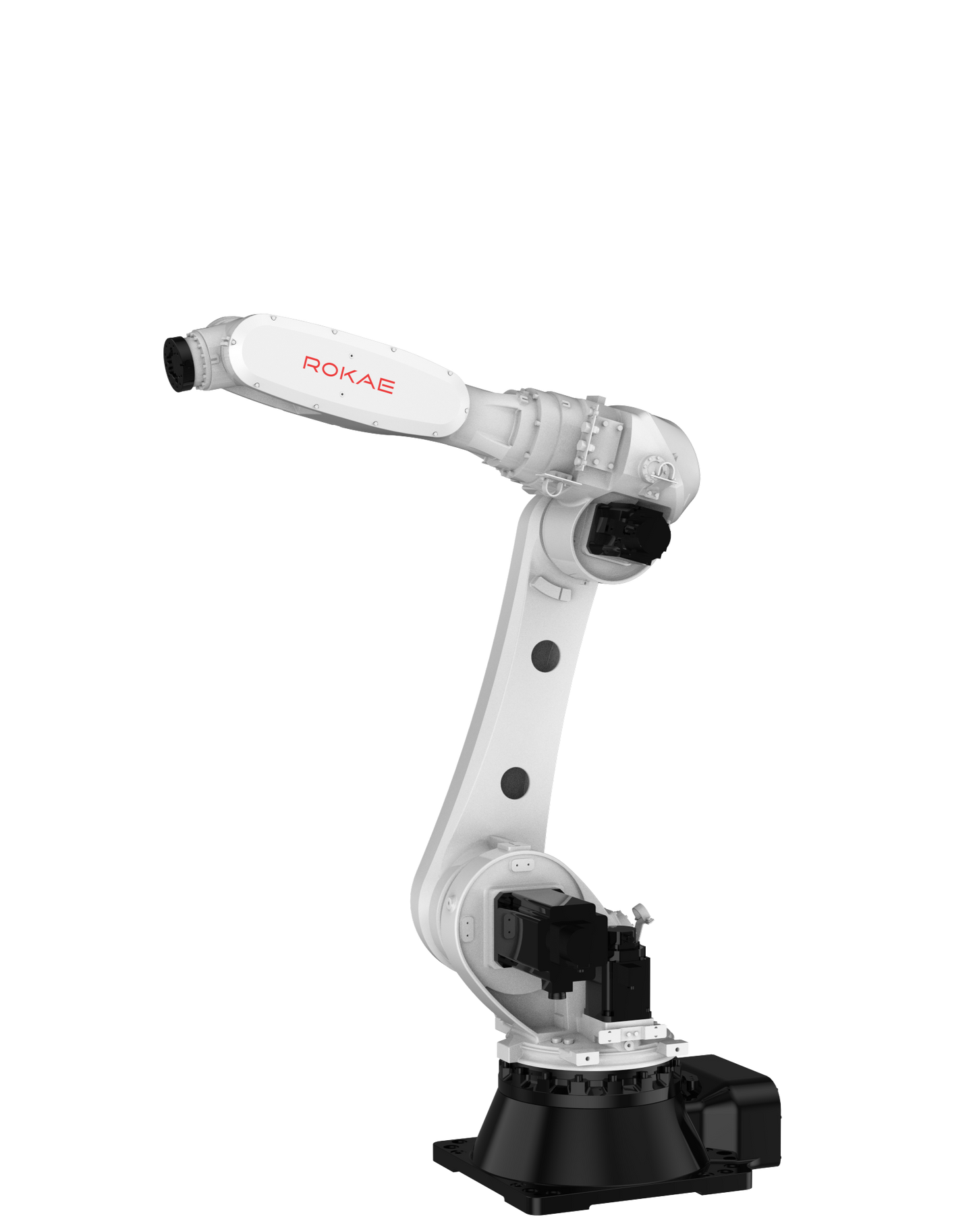Rokae NB80-80/2,2 Robot