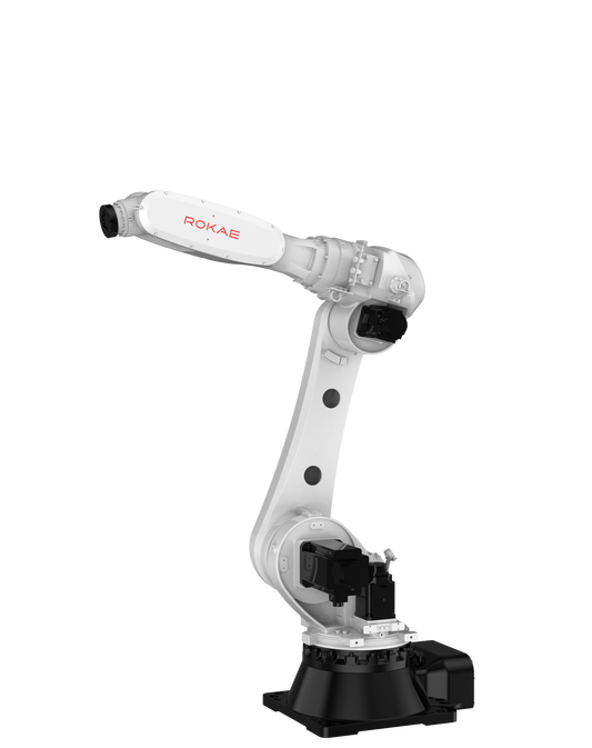 Rokae NB80-80/2,2 Robot