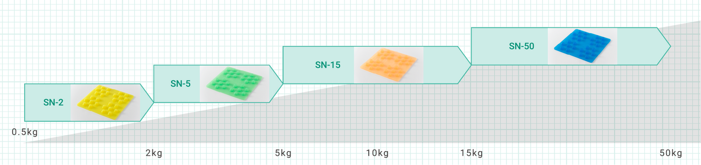 SN- Sheet- SN-2 